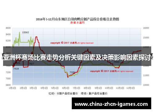 亚洲杯赛场比赛走势分析关键因素及决策影响因素探讨